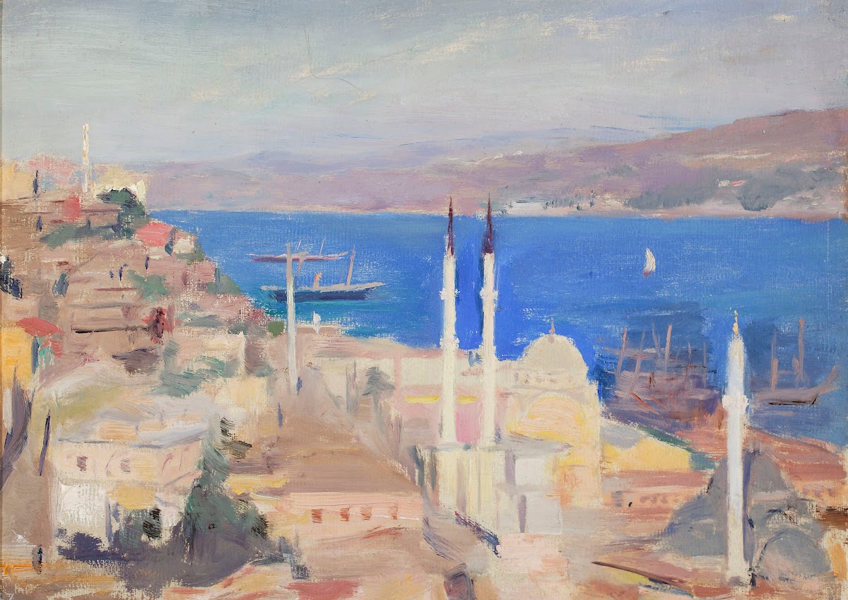 View of the port in Constantinople From the journey to Constantinople 1893