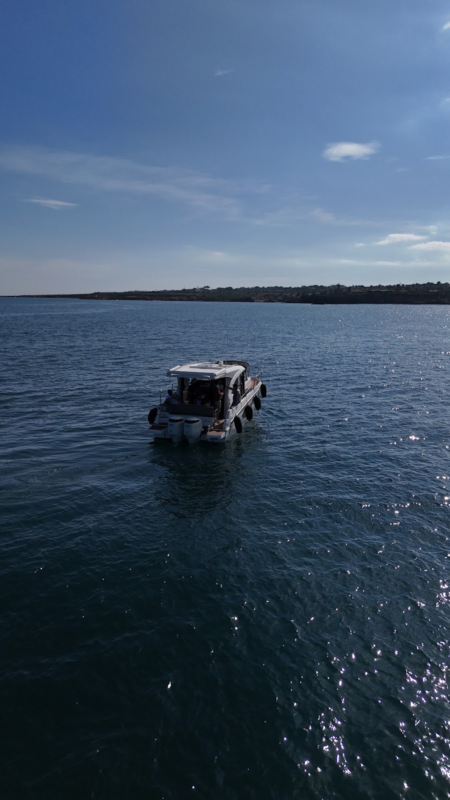 Vega Charter 14