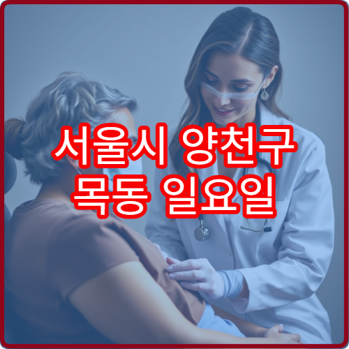 서울시 양천구 목동 일요일 진료 가능한 치과 치통 발생 시 방문 참고 정보