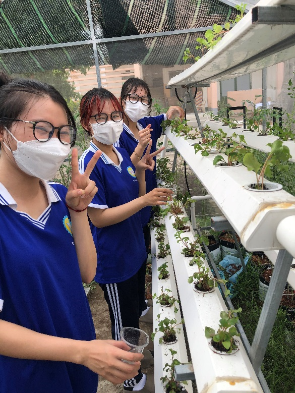 “Vườn rau thanh niên” còn là một trong những giải pháp giúp đoàn viên, sinh viên xả stress hiệu quả sau những giờ học tập căng thẳng 