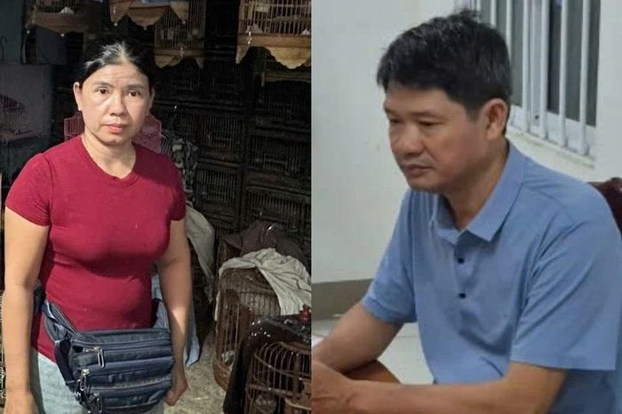 Phát hiện tại một kho cất giấu 433 cá thể động vật hoang dã không rõ nguồn gốc - Báo VietnamPlus