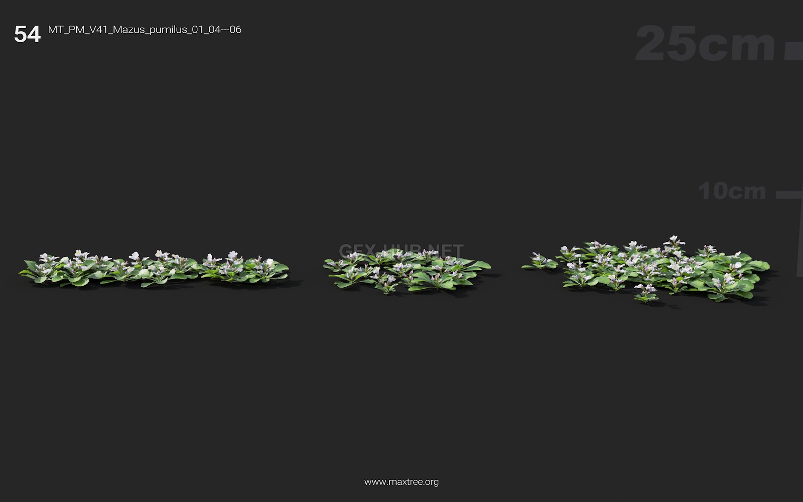 Maxtree - Plant Models Vol.41