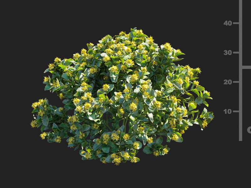 Maxtree - Plant Models Vol.112