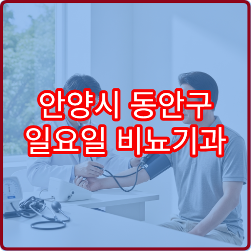 안양시 동안구 일요일 비뇨기과 진료 병원 배뇨곤란·요로결석 상담 가능