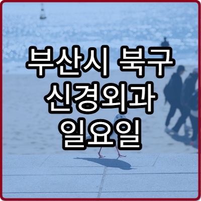부산시 북구 신경외과 일요일 진료 병원 허리 목 통증 주말 진료 병원