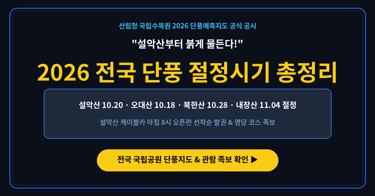 2026 전국 단풍 절정시기 국립공원 단풍지도 총정리