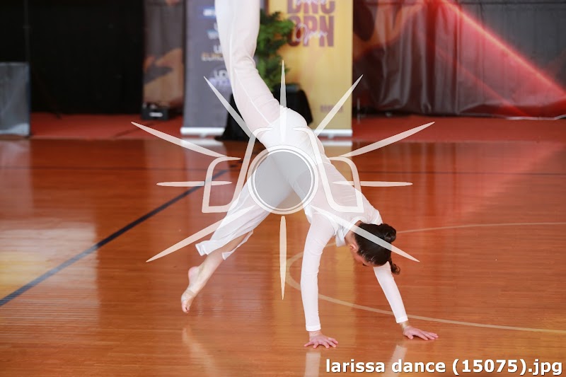 larissa dance (15075).jpg