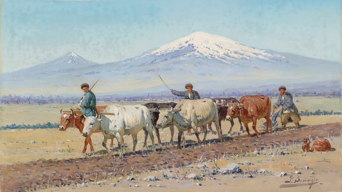 Driving oxen Mount Ararat