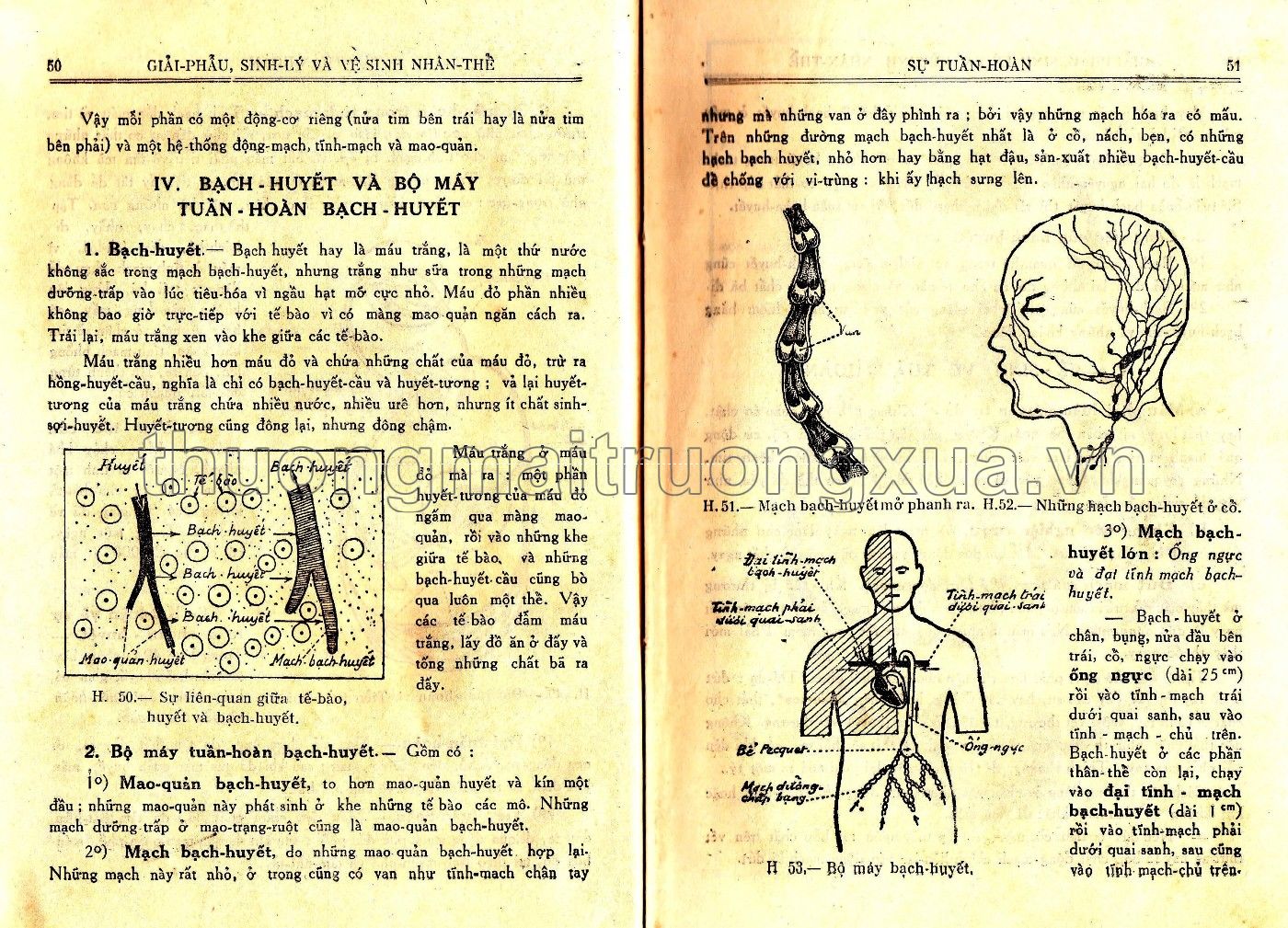 Vạn vật học lớp đệ tứ (1959) - Trang 26