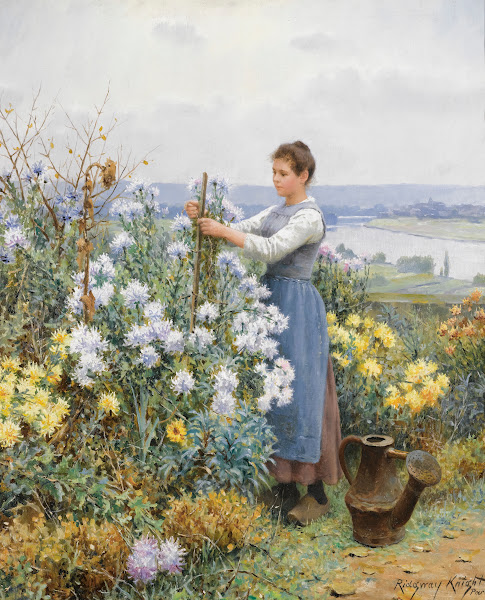 The Kitchen Curator