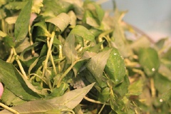 Rau răm nhặt sạch, cắt nhỏ.