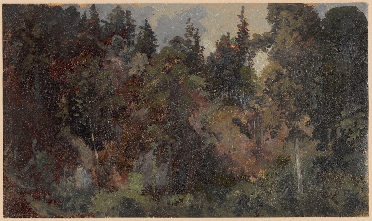 Forest growing on a mountain slope 1850 1881