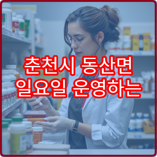 춘천시 동산면 일요일 운영하는 당번 약국 정보 안내
