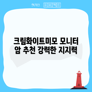 카멜마운트 모니터암, IMA2PL 추천, 고중량 모니터암, 어떻게 모니터 설치하나, 화이트 모니터암 특징