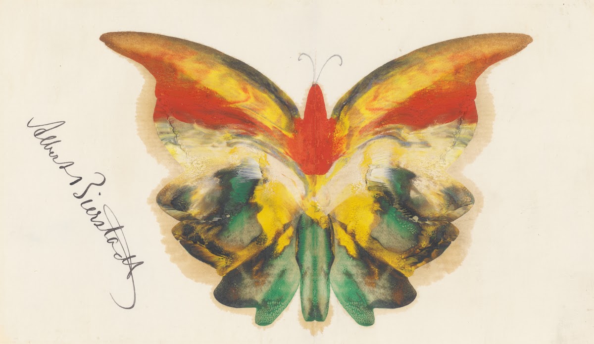 YellowButterfly Ca1890