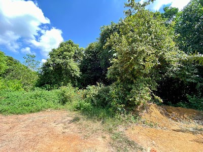 Tanah 2 Ekar Kampung Sungai Merab Luar, Kajang — foto 3/10