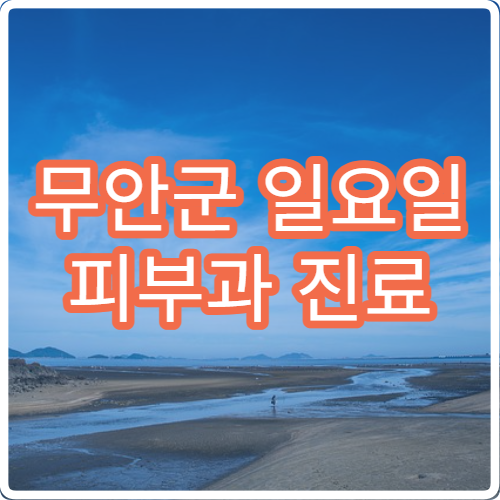 무안군 일요일 피부과 진료 병원 – 여드름, 알레르기, 피부 트러블 주말 진료 안내