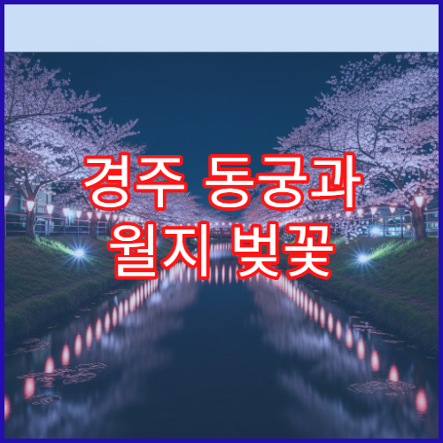 경주 동궁과 월지 벚꽃 드론 촬영 연못 절벽 구역과 안전 팁 공유