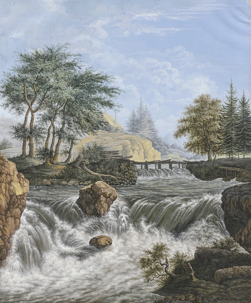 Wasserfall im Gebirge am Ufer und im Hintergrund Nadelhölzer