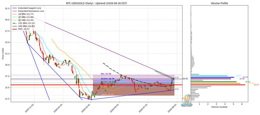 BTC vs Gold 비교