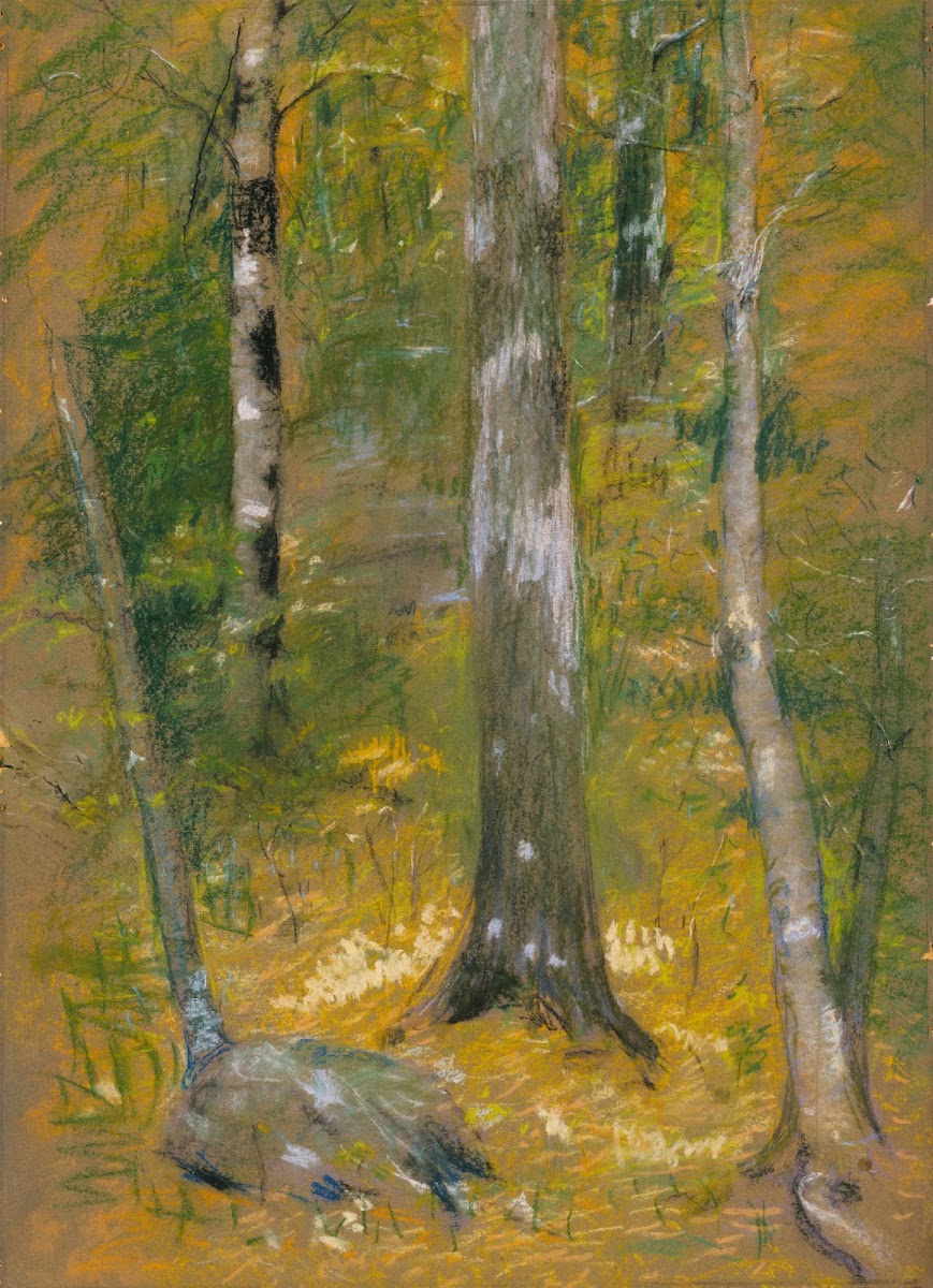 Onteora 1903
