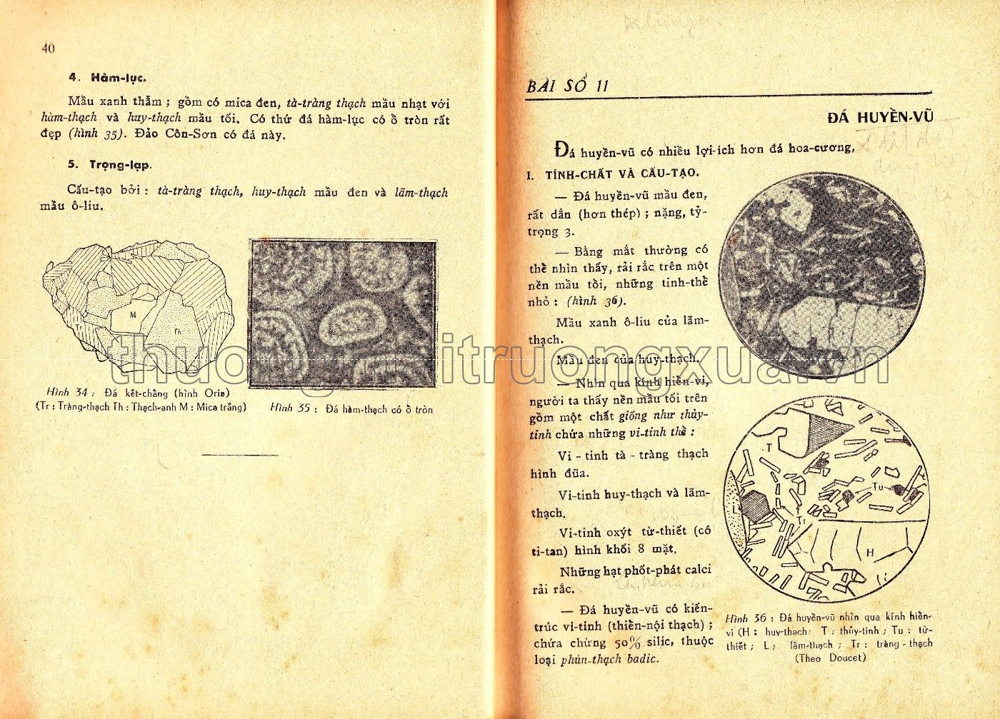 Vạn vật học lớp đệ tam (1967) - Trang 21