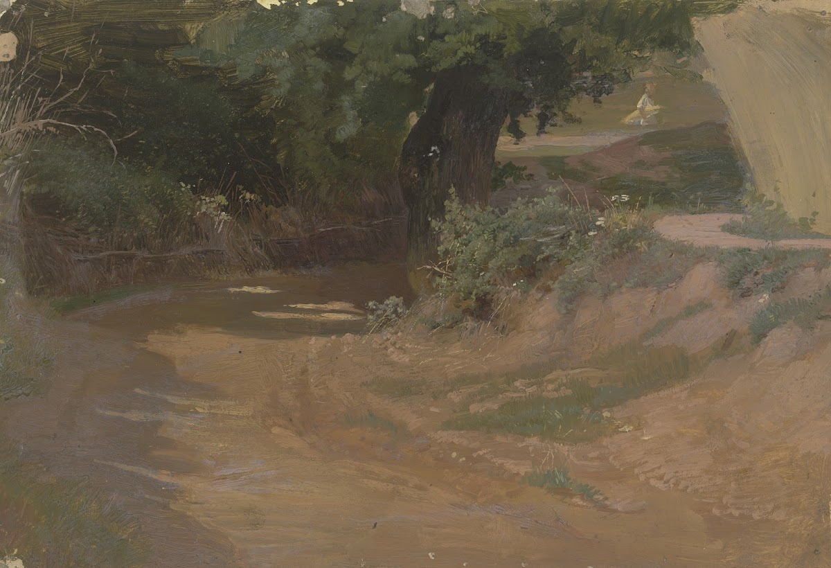 Ravine