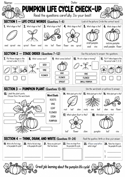 Pumpkin Life Cycle Check-Up Worksheet