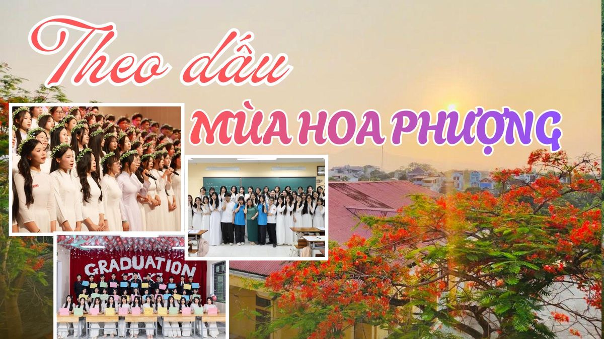 Theo dấu chân mùa hoa phượng - Báo Tuyên Quang