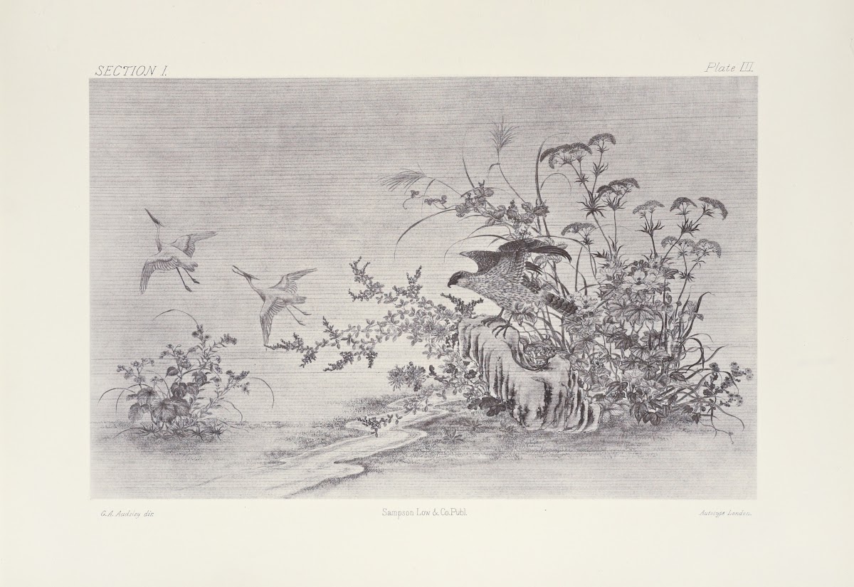 The ornamental arts of Japan Pl009 1882