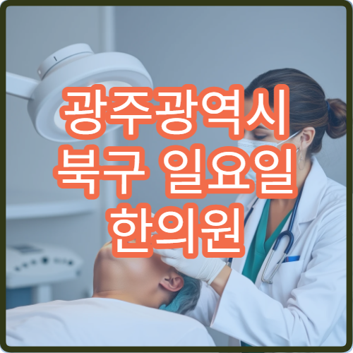 광주광역시 북구 일요일 한의원 휴일 진료 병원