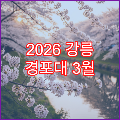 2026 강릉 경포대 3월 벚꽃 개화 예상일 초보자 가이드