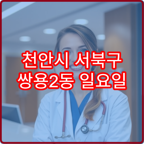 천안시 서북구 쌍용2동 일요일 이비인후과 진료 병원 귀 먹먹함 검사