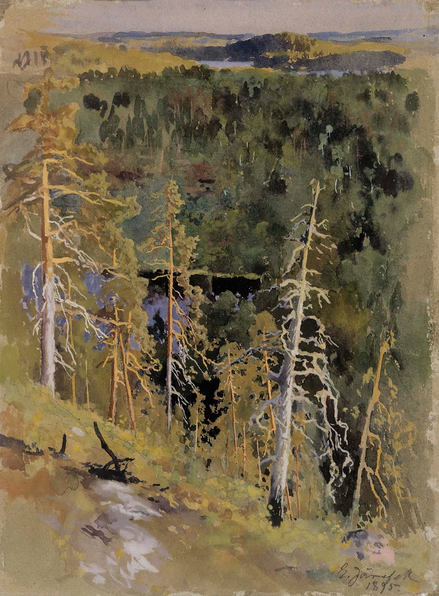 Forest Landscape 1895