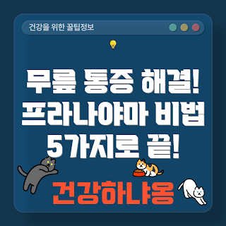 무릎 통증 프라나야마, 무릎 통증 완화, 프라나야마, 무릎 통증, 요가 호흡