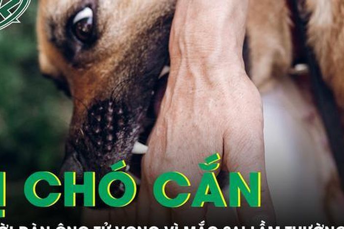 Người đàn ông tử vong sau khi bị chó cắn vì mắc sai lầm thường gặp - Báo Sức Khỏe &amp; Đời Sống
