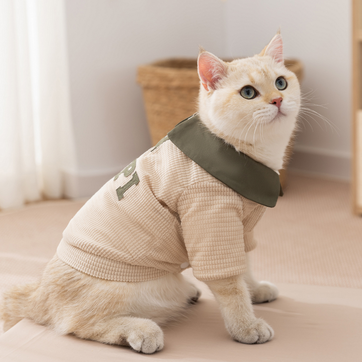 Dog Winter Jacket, Cord, Fold-Down Collar, Two Legs