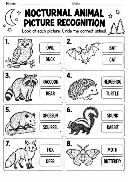 Nocturnal Animal Picture Recognition Worksheet