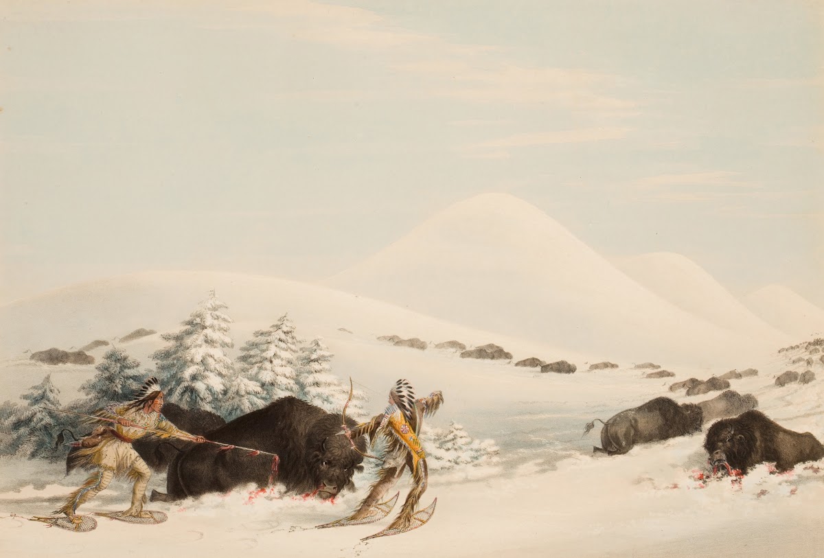 Buffalo Hunt On Snow Shoes 1844