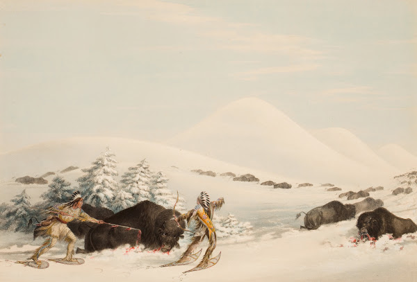 Buffalo Hunt On Snow Shoes 1844