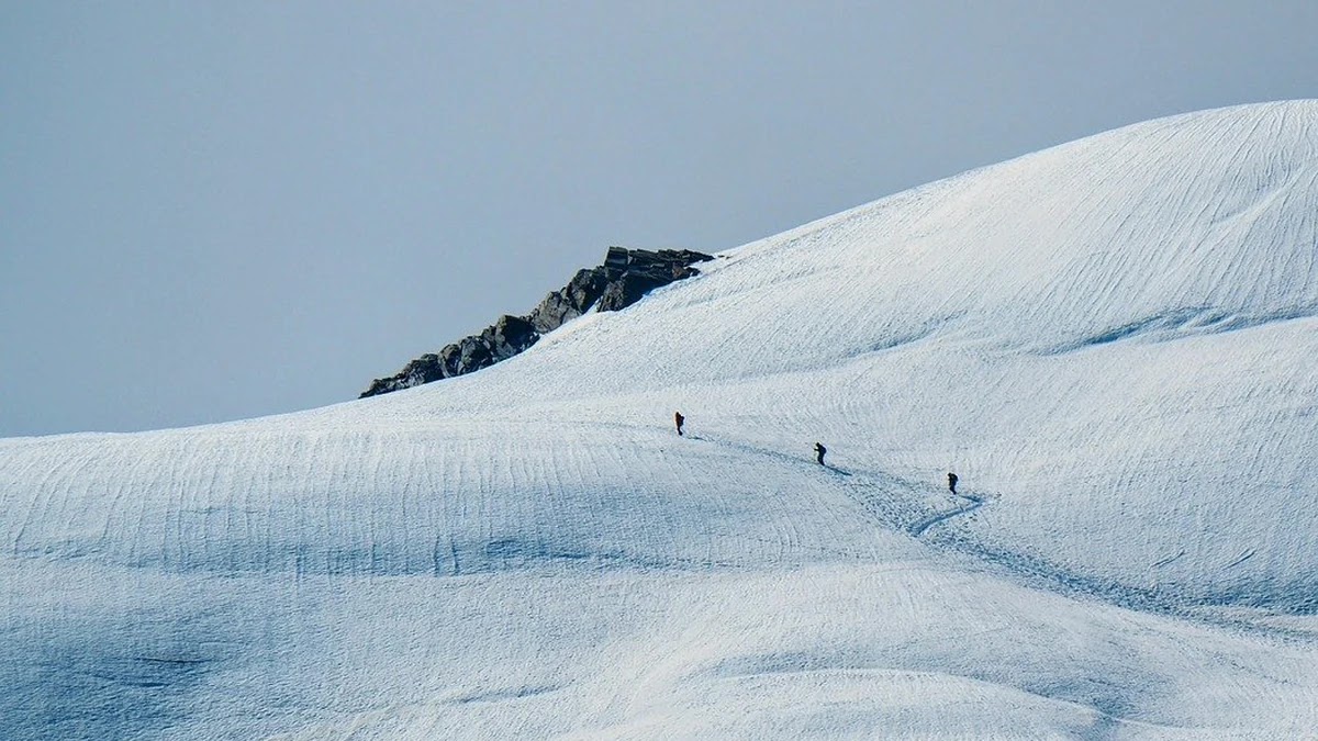 이체 수수료 자동 면제 조건별 은행별 차이 분석