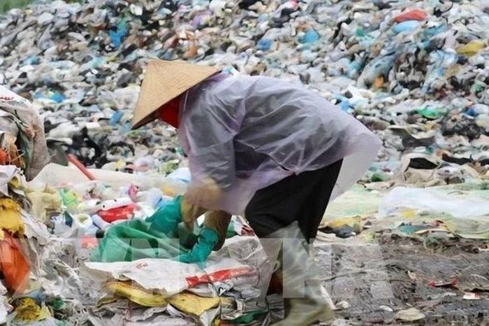 VCCI đề xuất doanh nghiệp khai thuế thay người nhặt ve chai - Báo Tri thức &amp; Cuộc sống
