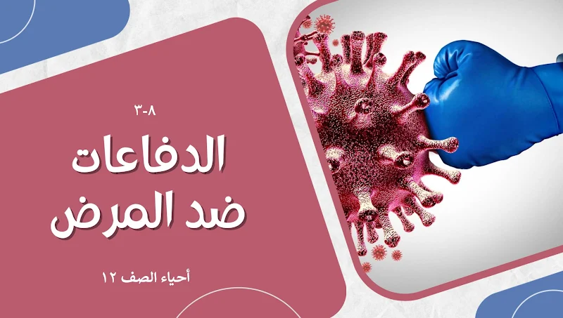 صورة الغلاف