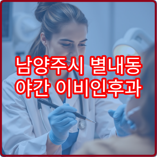 남양주시 별내동 야간 이비인후과 중이염 비염 진료 병원 정리