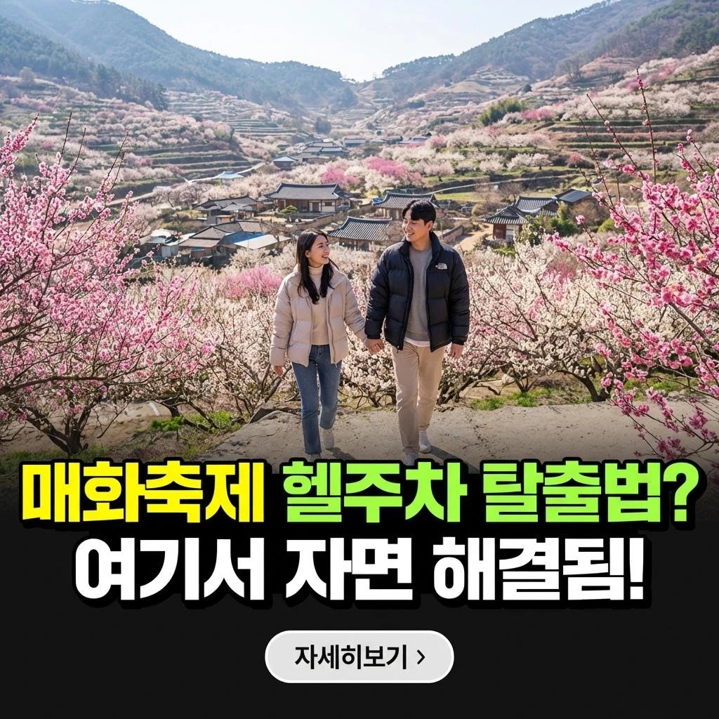 2026 광양 매화 축제 숙소 & 주차 공략 가이드