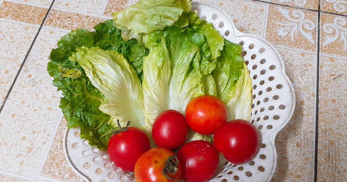 Sốt cà chua ăn kèm rau xà lách