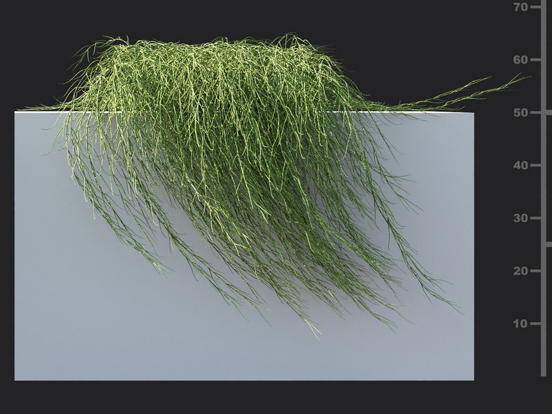 Maxtree - Plant Models Vol.119
