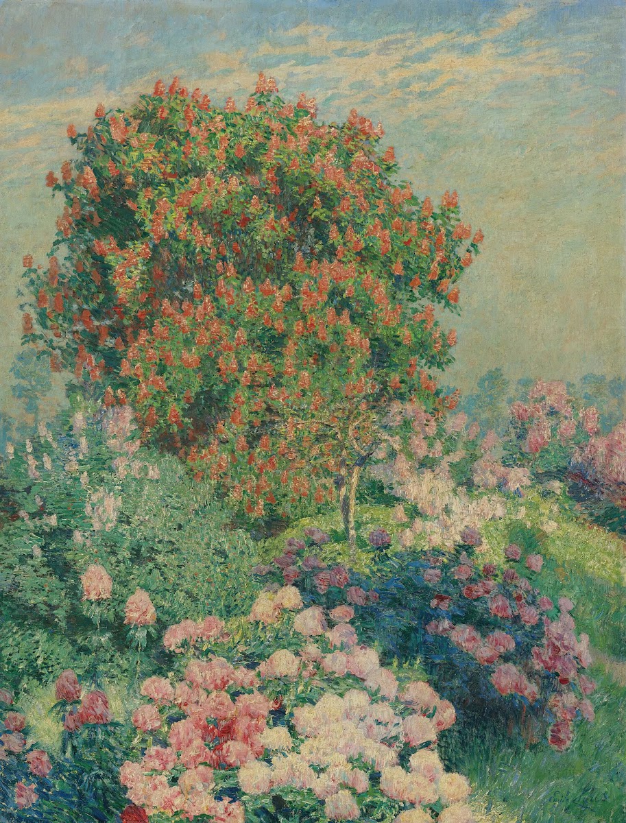 The flower garden in may