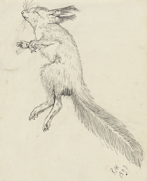Dode eekhoorn 1898