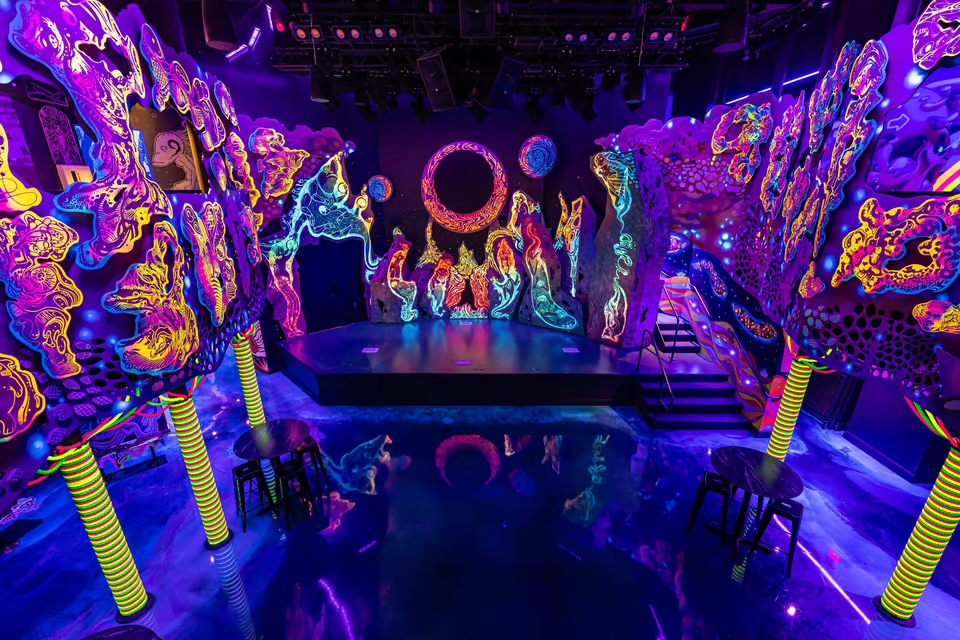Meow Wolf Radio Tave, Houston